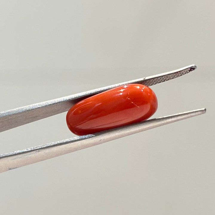 Natural Red Coral (Moonga) 7.54 Carat – GSI Certified Gemstone