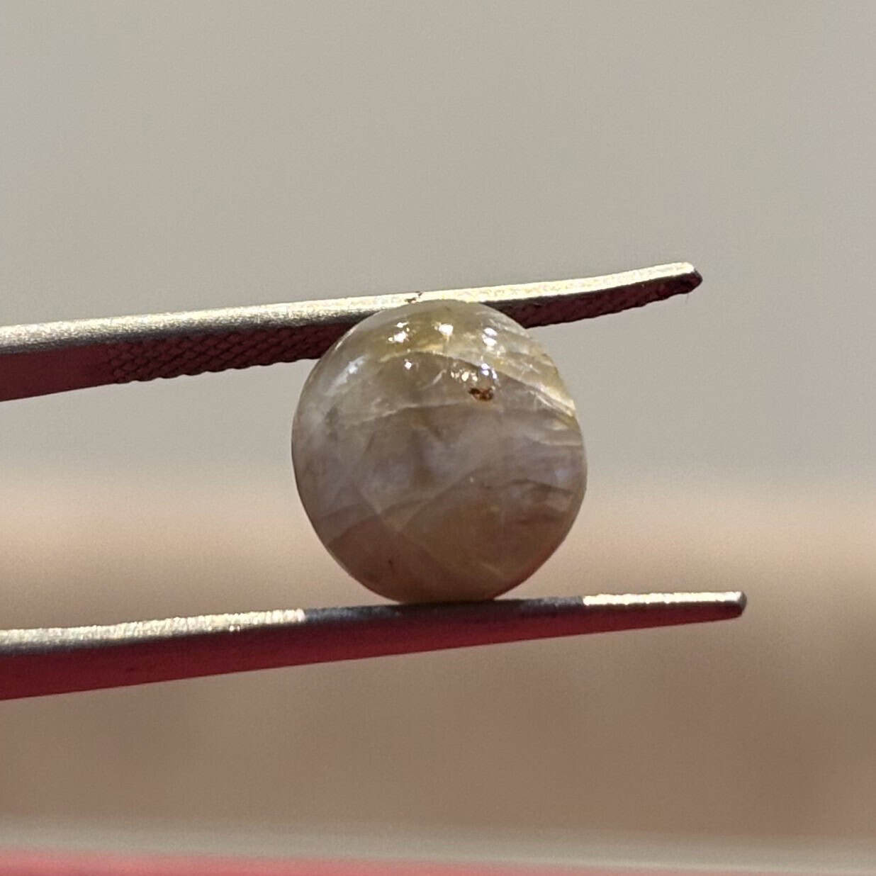 Natural Chrysoberyl Cat’s Eye (Lehsunia) 6.67 Carat – Certified Gemstone